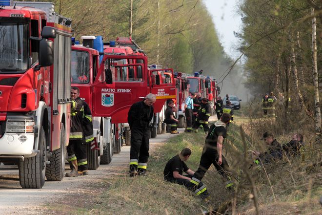 Pożar lasu w Rudach. Akcję wsparli strażacy z Rybnika, Dominik Gajda