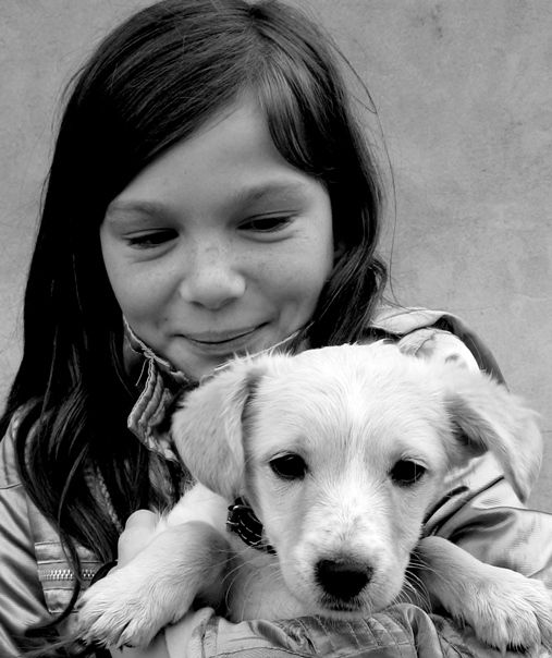 II Konkurs Fotograficzny „Kocham psa, bo...” , Uczestnicy konkursu