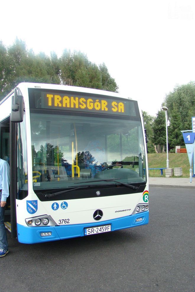 Jak wyglądają nowe autobusy Transgóru?, Dominika Kuśka