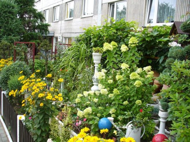 Najładniejsze ogrody w Rybniku, Wydział Ekologii UM Rybnika