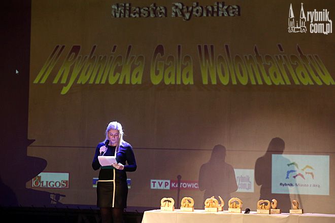 II Gala Wolontariatu. Znamy najlepszych wolontariuszy w Rybniku, Dominik Gajda