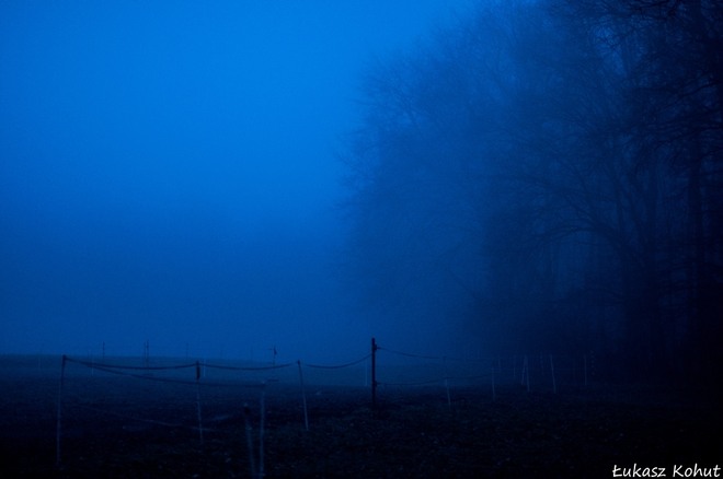 Zima we mgle w obiektywie Łukasza Kohuta, Łukasz Kohut