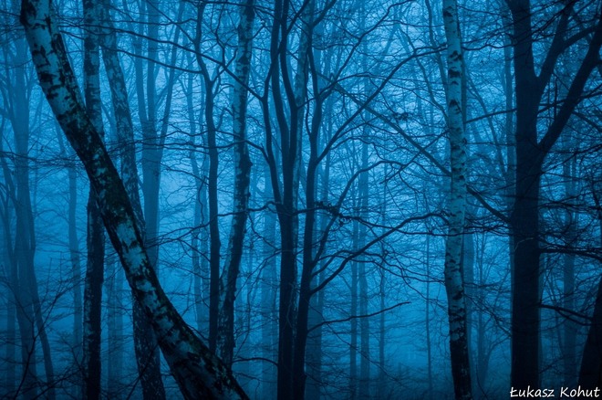 Zima we mgle w obiektywie Łukasza Kohuta, Łukasz Kohut