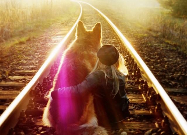 Konkurs fotograficzny „Kocham psa bo...”: zobacz najlepsze zdjęcia, Danuta Brachmańska 