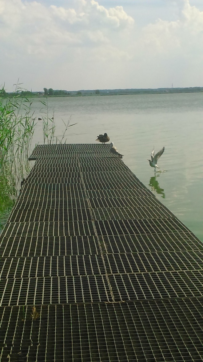 Zdjęcia z wakacji rybniczan 2014: Unieście i Jezioro Jamno, Czytelniczka Ewelina