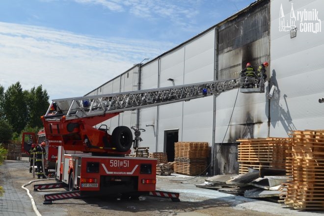 Pożar w hali produkcyjnej przy Brzezińskiej, Bartłomiej Furmanowicz
