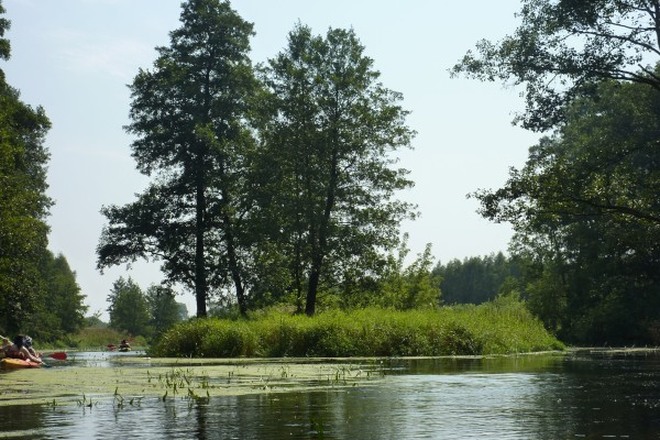 Zdjęcia z wakacji rybniczan 2014: spływ na rzece Wkrze