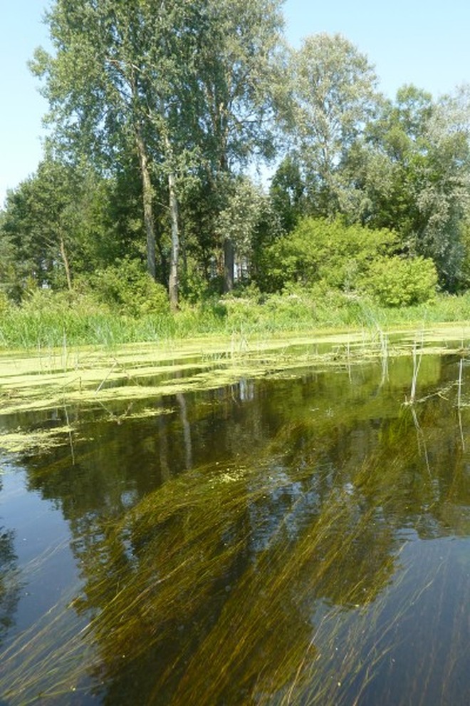 Zdjęcia z wakacji rybniczan 2014: spływ na rzece Wkrze, Czytelnik Łukasz