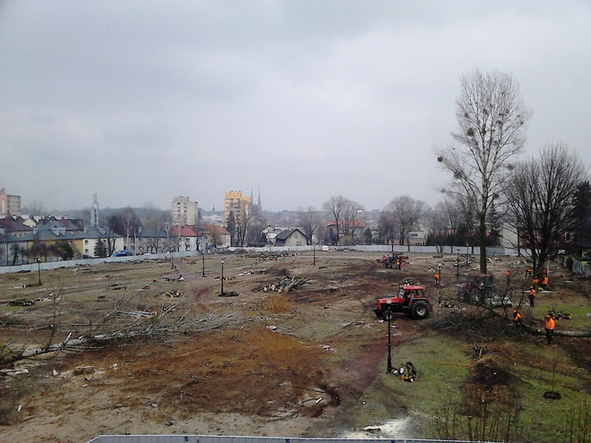 Budowa Kwartału Domus: robotnicy wycięli za dużo drzew, Materiały prasowe