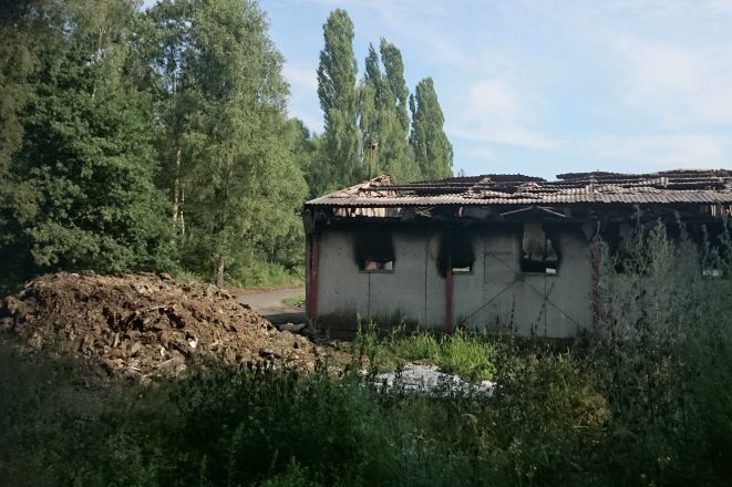 Pożar fermy w Szczejkowicach: spaliło się 15 tys. kurcząt, 2 mln złotych strat, PSP Rybnik