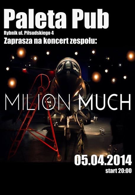 Paleta: koncert zespołu Milion Much , 