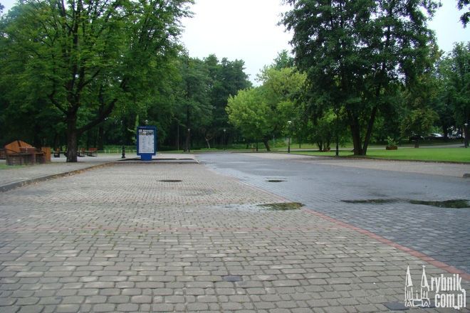 Parking na Kampusie: znów bezpłatny i znów dla wszystkich mieszkańców, Jakub Pawliszyn